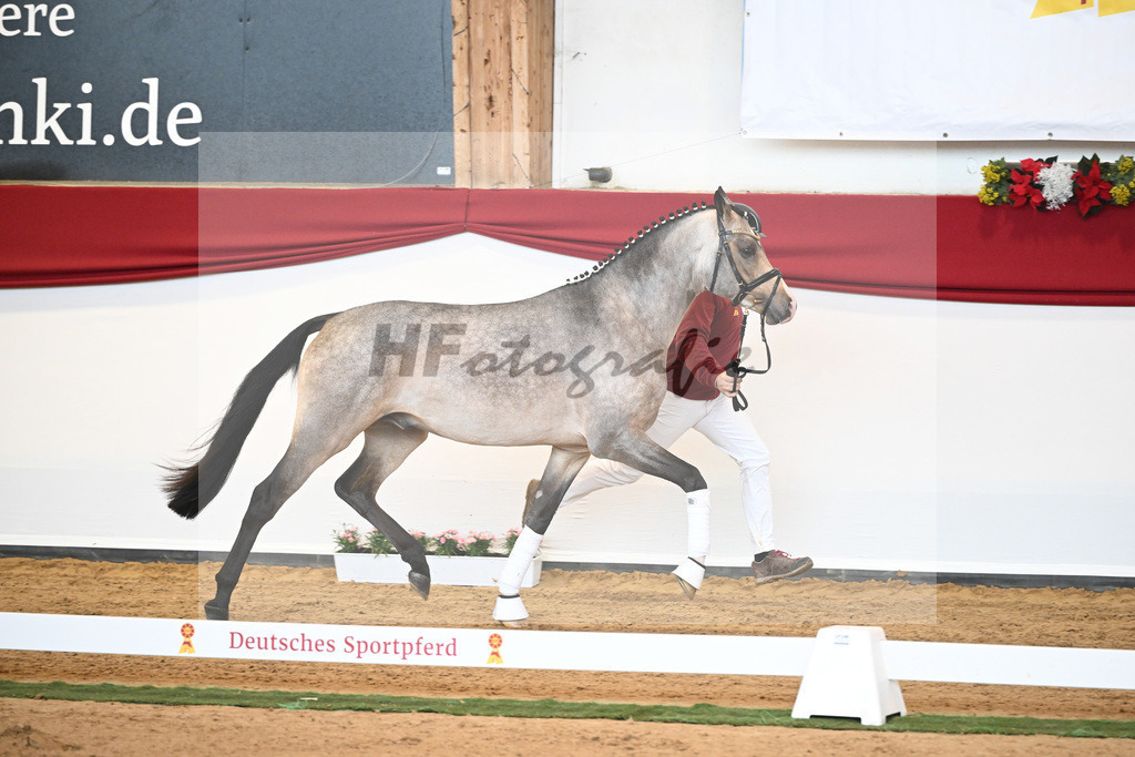 Kat-Nr. nn Reitpony_Schindele_43230079 | hf-fotografie - Realisiert mit Pictrs.com