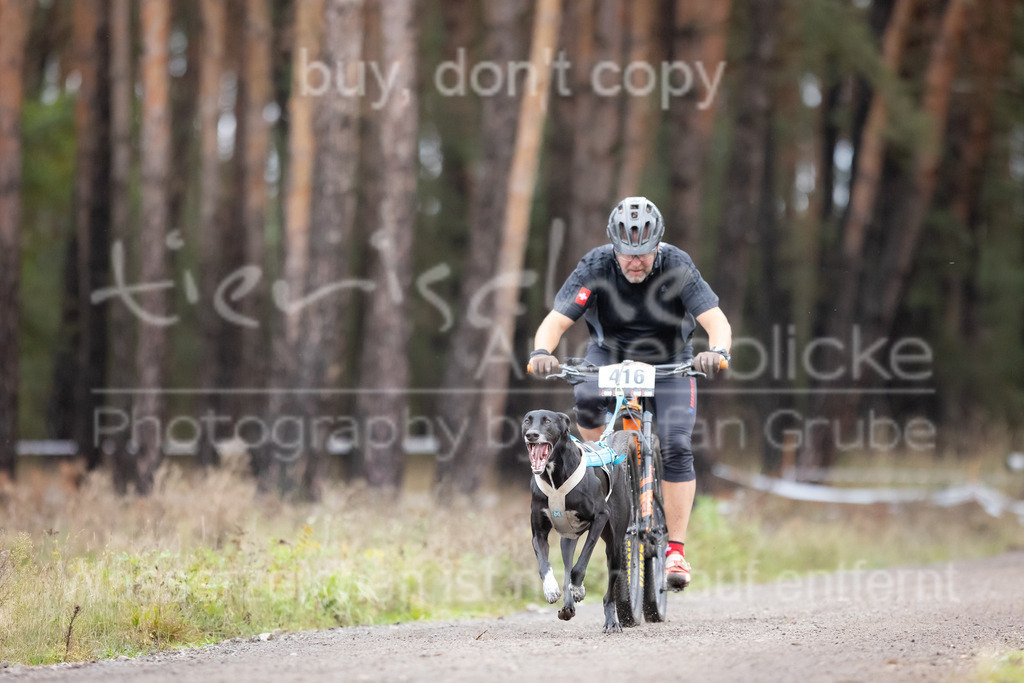 CJ8A4426 | Herzlich Willkommen im Onlineshop von tierische Augenblicke.
Viel Spaß beim aussuchen ihrer Bilder und vielen Dank für ihren Einkauf.
Viele Grüße, ihr Fotograf Stefan Grube