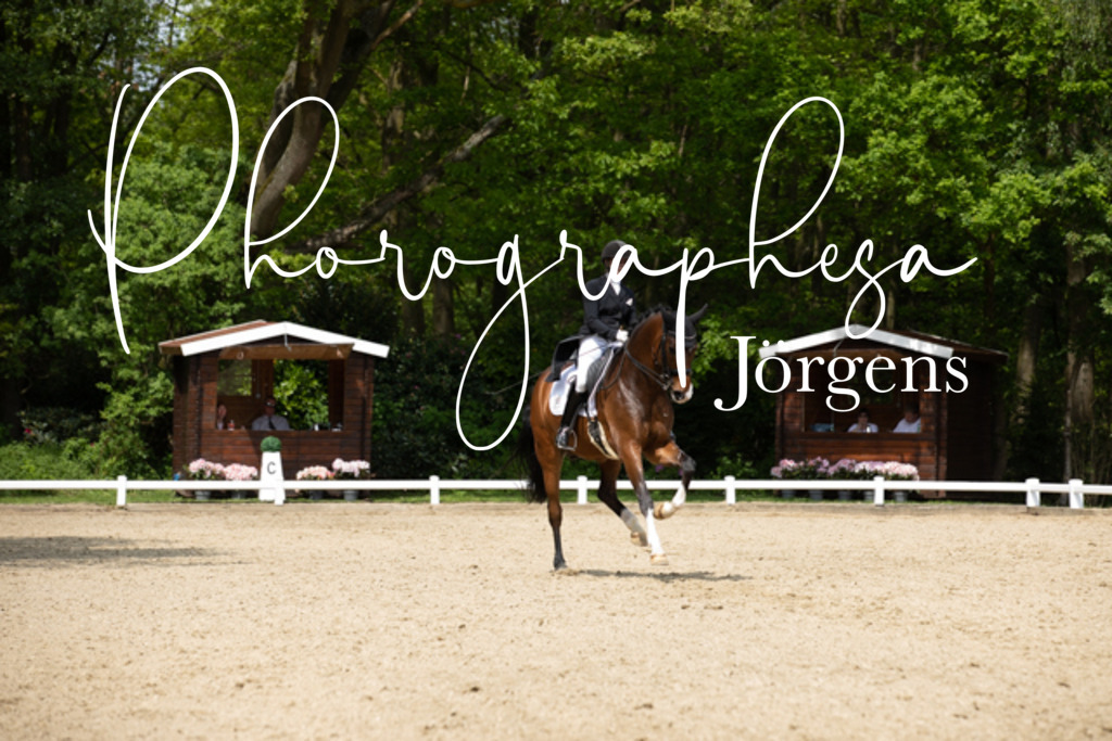 IMG_1970 | photographesa-joergens - Realisiert mit Pictrs.com