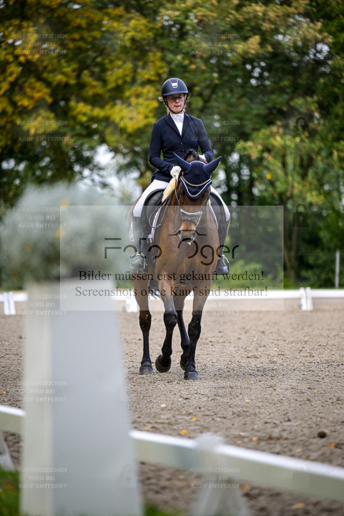 FOTO OGER | Bilder aus dem Reitsport by Foto Oger - Domenic Schlinge - Realisiert mit Pictrs.com