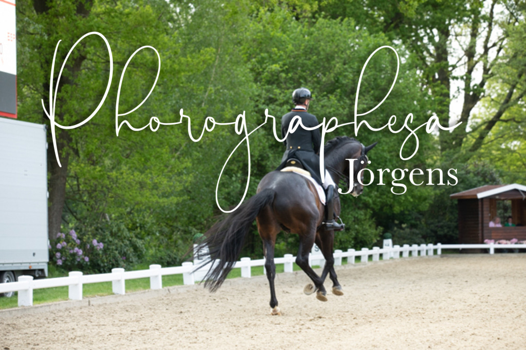 IMG_8935 | photographesa-joergens - Realisiert mit Pictrs.com