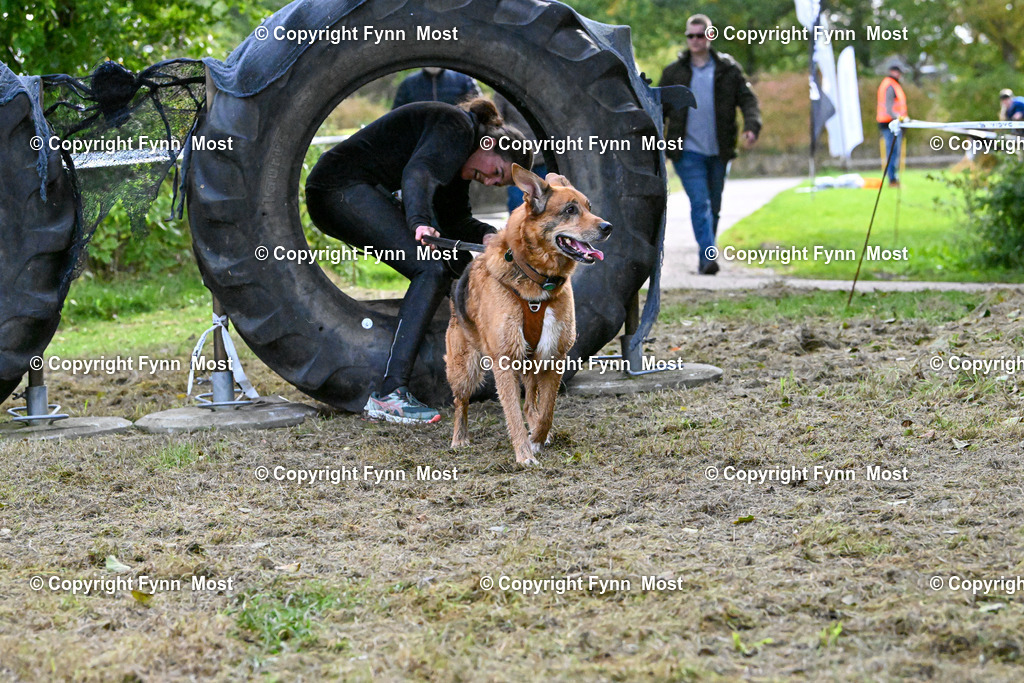 DSC_3506 | Hallo und herzlich Willkommen auf meiner Shop-Seite Fynn Most.

Ich wünsche Dir viel Spaß beim stöbern durch die Bilder, wenn Du Fragen hast oder Bilder vermisst, kannst du mir gerne eine Nachricht schreiben. - Realisiert mit Pictrs.com