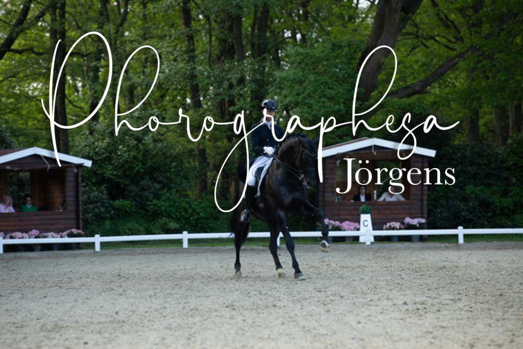 IMG_9089 | photographesa-joergens - Realisiert mit Pictrs.com