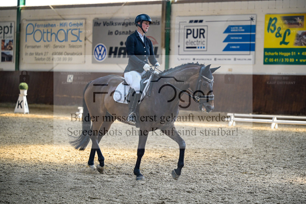 Reitturnier Voxtrup | Bilder aus dem Reitsport by Foto Oger - Domenic Schlinge - Realisiert mit Pictrs.com