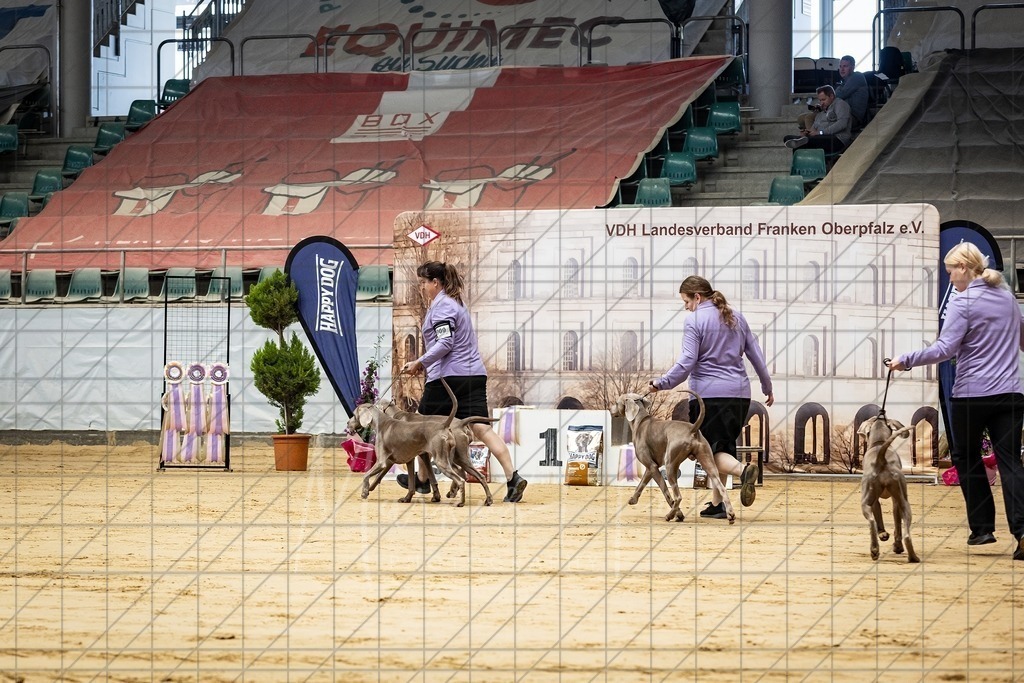 DS - Zuchtgruppe_0030 | Markus Heber Photography