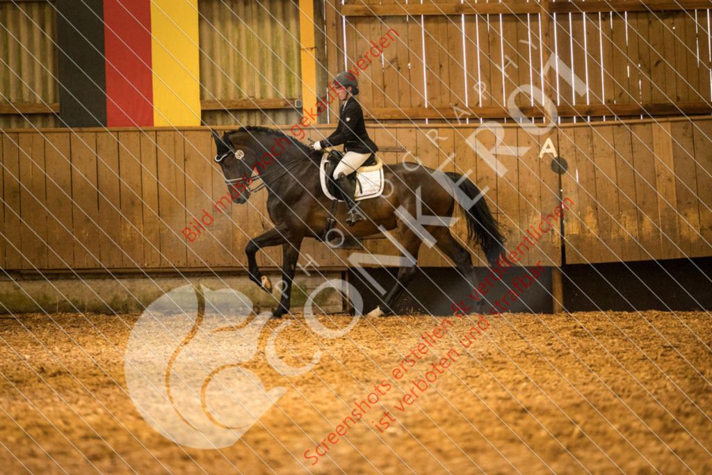 IMG_6016 | Hier findest Du viele Augenblicke aus den Bereichen der Turnier-, Sport- & Tierfotografie. Bilder mit deinem Liebling, Portrait-, Bewerbungs-, Businessbilder können ebenfalls schnell und einfach erstellt werden.