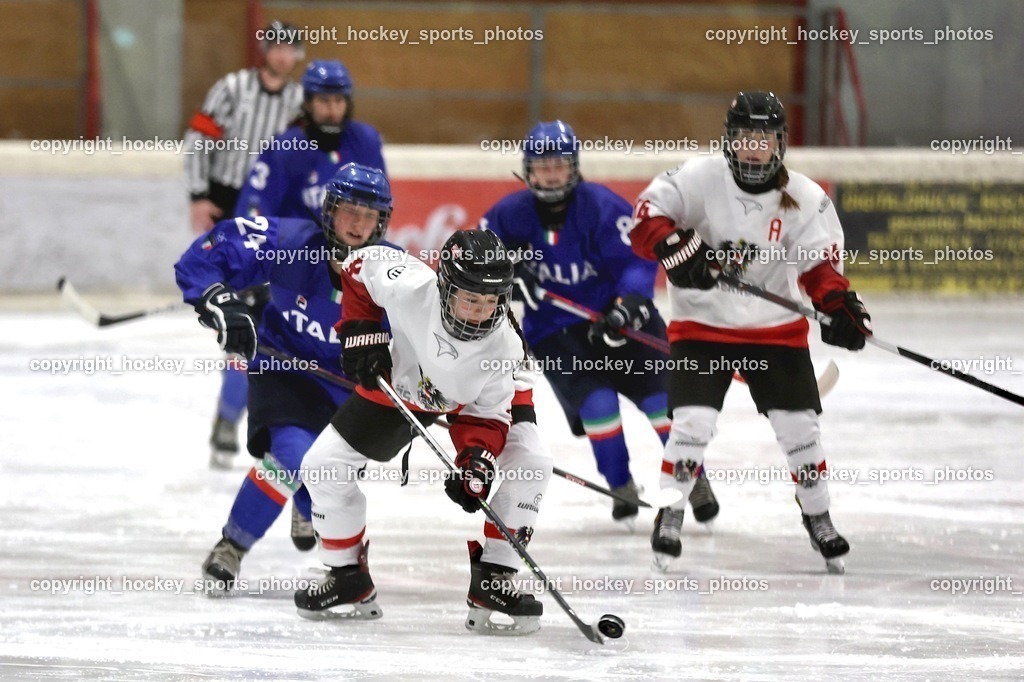 MOWE3625 | hockey sports photos, Pressefotos, Sportfotos, hockey247, win 2day icehockeyleague, Handball Austria, Floorball Austria, ÖVV, Kärntner Eishockeyverband, KEHV, KFV, Kärntner Fussballverband, Österreichischer Volleyballverband, Alps Hockey League, ÖFB, 