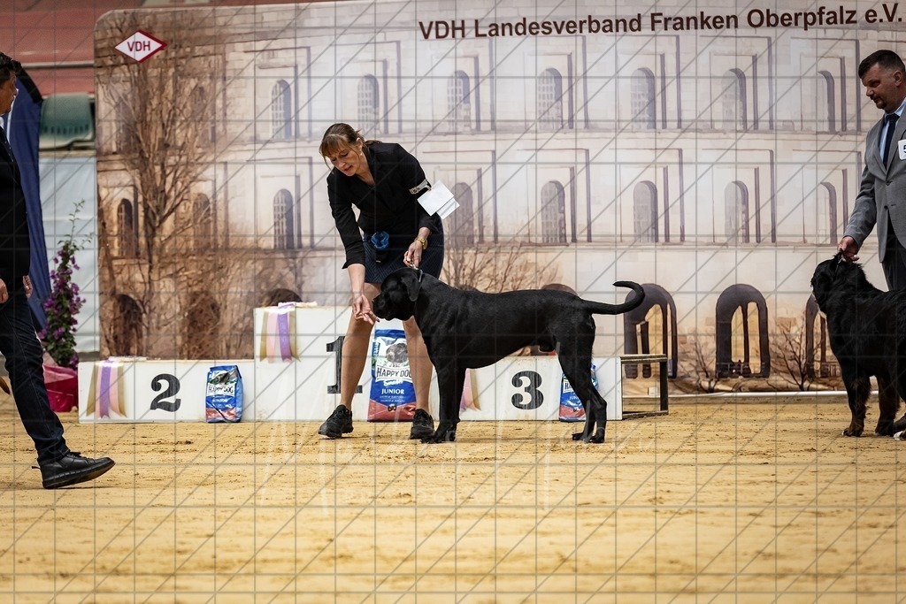 DS - Bester Junghund_0015 | Markus Heber Photography