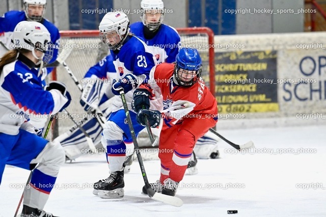 BST_5696 | hockey sports photos, Pressefotos, Sportfotos, hockey247, win 2day icehockeyleague, Handball Austria, Floorball Austria, ÖVV, Kärntner Eishockeyverband, KEHV, KFV, Kärntner Fussballverband, Österreichischer Volleyballverband, Alps Hockey League, ÖFB, 