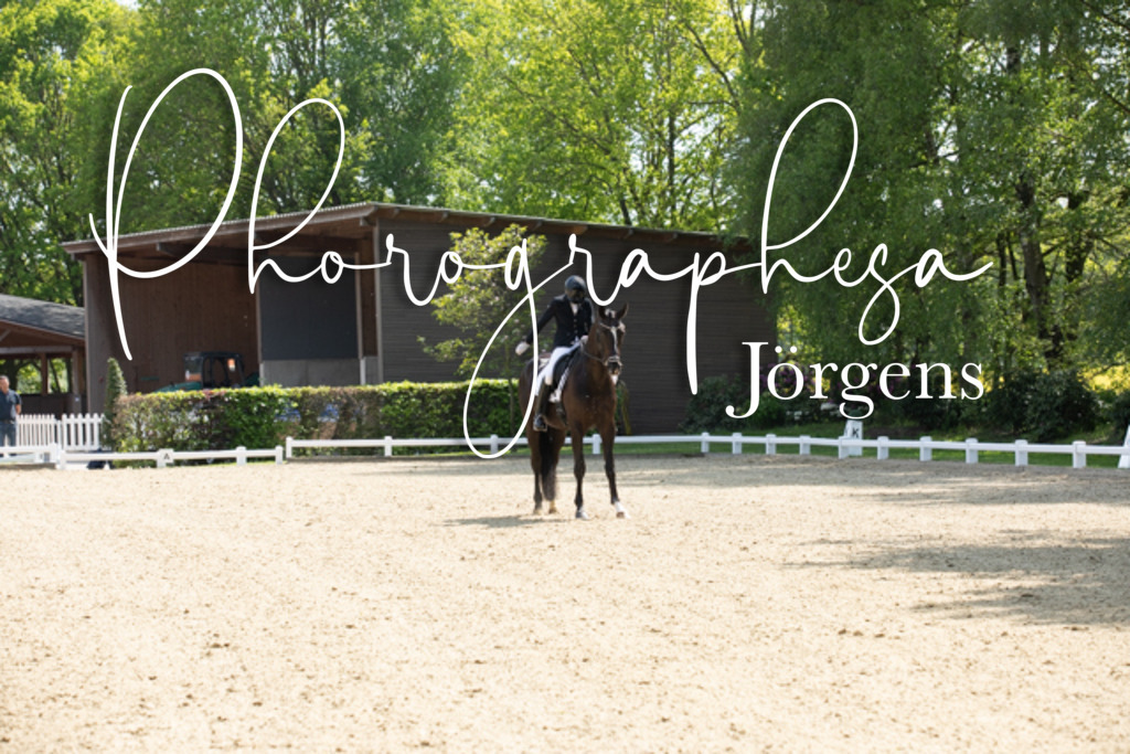 IMG_6003 | photographesa-joergens - Realisiert mit Pictrs.com