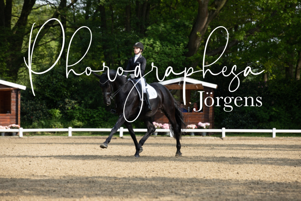 IMG_0112 | photographesa-joergens - Realisiert mit Pictrs.com