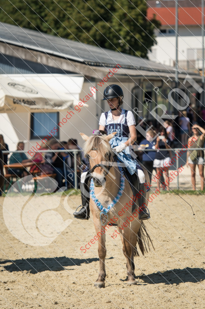 ND5_9608 | Hier findest Du viele Augenblicke aus den Bereichen der Turnier-, Sport- & Tierfotografie. Bilder mit deinem Liebling, Portrait-, Bewerbungs-, Businessbilder können ebenfalls schnell und einfach erstellt werden.