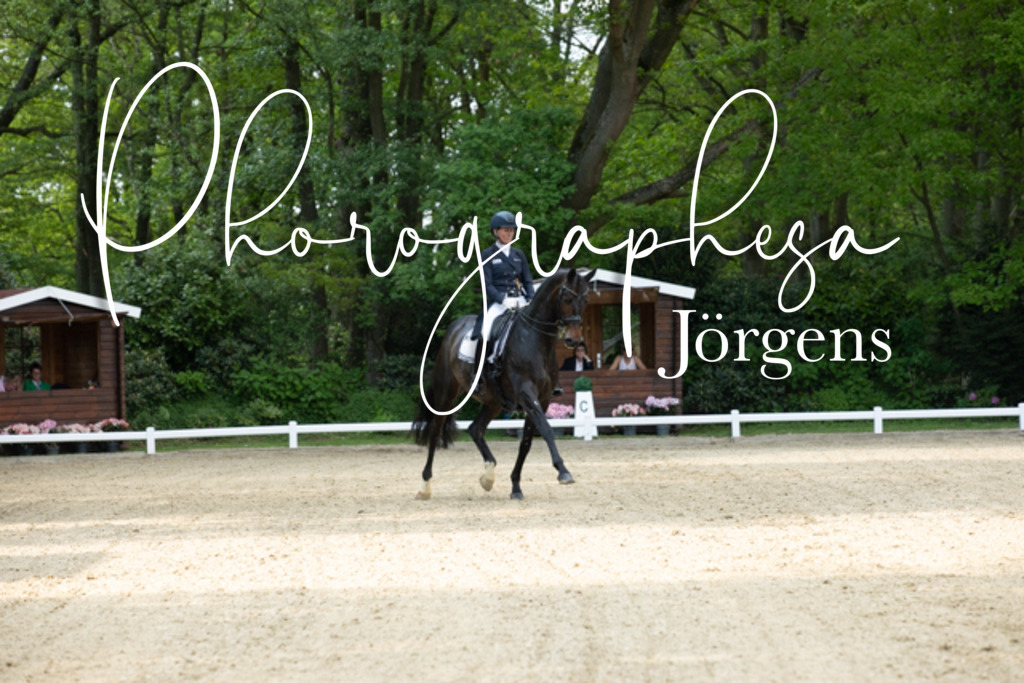 IMG_8277 | photographesa-joergens - Realisiert mit Pictrs.com