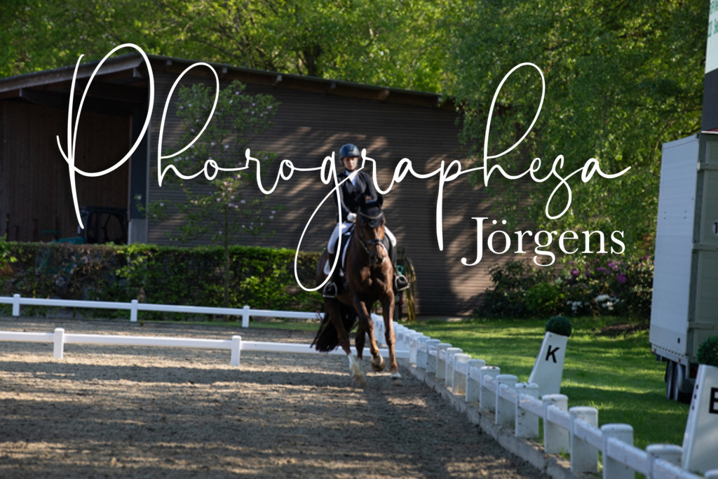 IMG_0929 | photographesa-joergens - Realisiert mit Pictrs.com