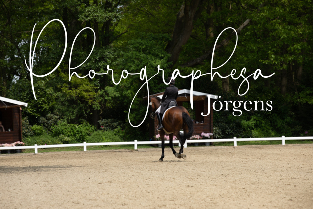 IMG_1430 | photographesa-joergens - Realisiert mit Pictrs.com