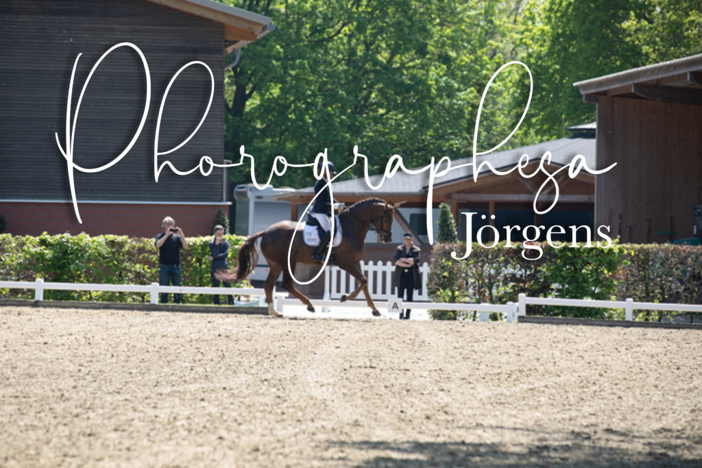 IMG_8690 | photographesa-joergens - Realisiert mit Pictrs.com