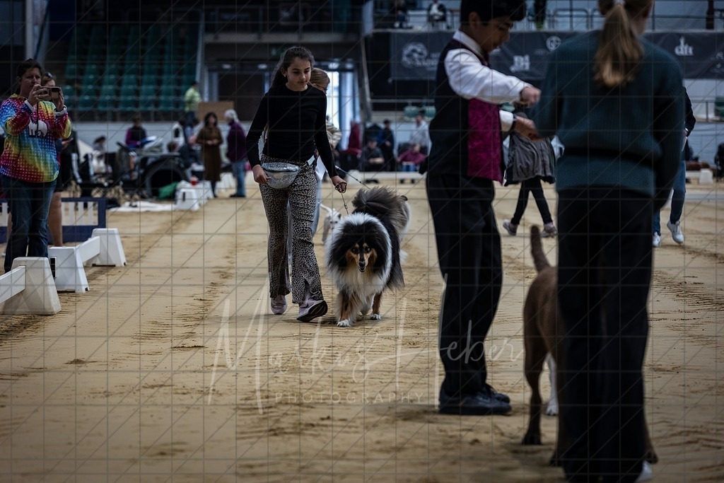 DS - Junior-Handling II_0016 | Markus Heber Photography