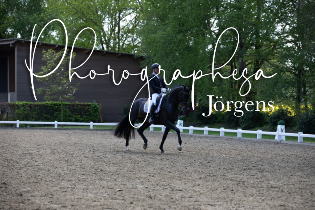 IMG_9231 | photographesa-joergens - Realisiert mit Pictrs.com