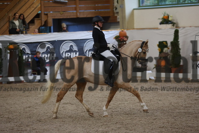 Gut Ising_2023_Prfg.Nr.13_Finale_Bayern-Pony-Cup_Katharina Lang_Magic Moment (3) | Alle Fotos der Reiterjournal Fotografin Doris Matthaes im Reiterjournal Online-Fotoshop. - Realisiert mit Pictrs.com