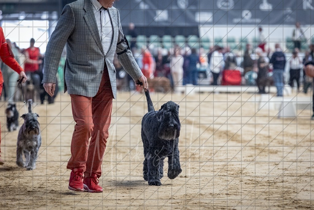 DS - Bester Veteran_0021 | Markus Heber Photography