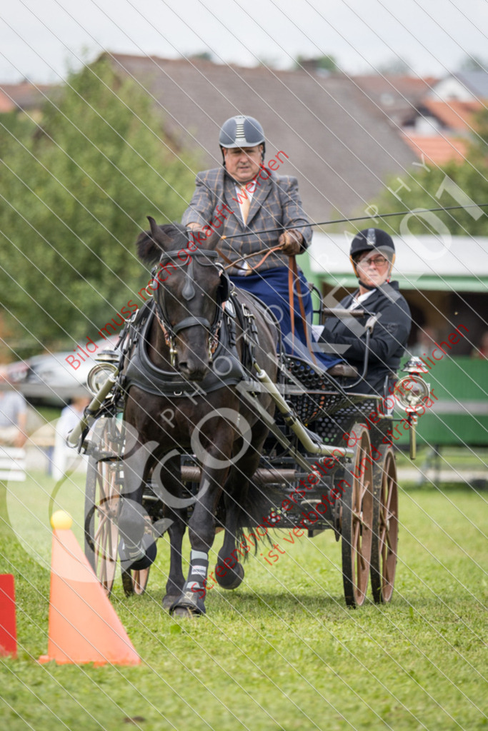 IMG_9906 | Hier findest Du viele Augenblicke aus den Bereichen der Turnier-, Sport- & Tierfotografie. Bilder mit deinem Liebling, Portrait-, Bewerbungs-, Businessbilder können ebenfalls schnell und einfach erstellt werden.