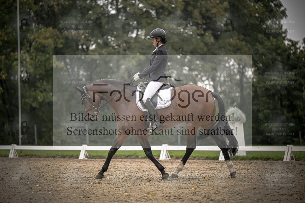 FOTO OGER | Bilder aus dem Reitsport by Foto Oger - Domenic Schlinge - Realisiert mit Pictrs.com