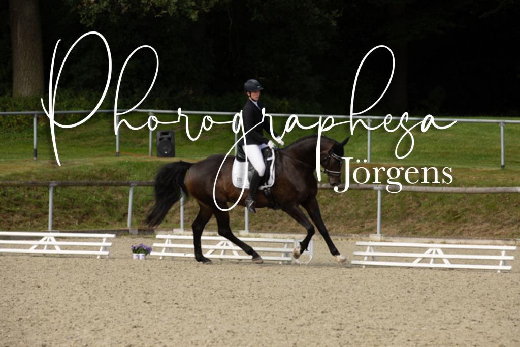 IMG_7574 | photographesa-joergens - Realisiert mit Pictrs.com