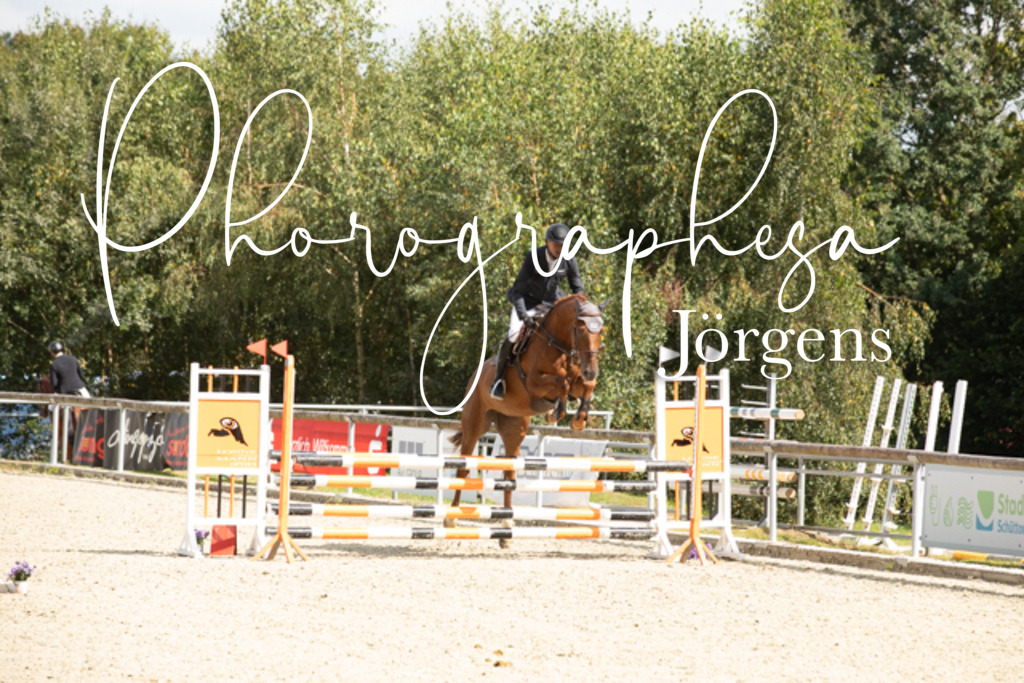 IMG_8482 | photographesa-joergens - Realisiert mit Pictrs.com