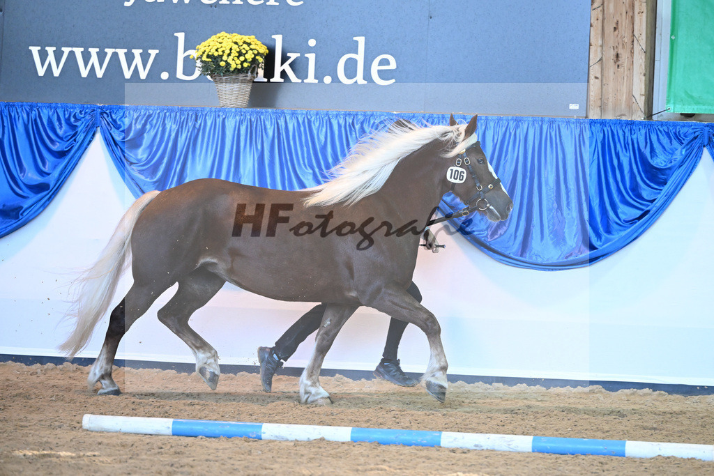 Kat-Nr. 106 Fennja_Reichmann_53220758 | hf-fotografie - Realisiert mit Pictrs.com