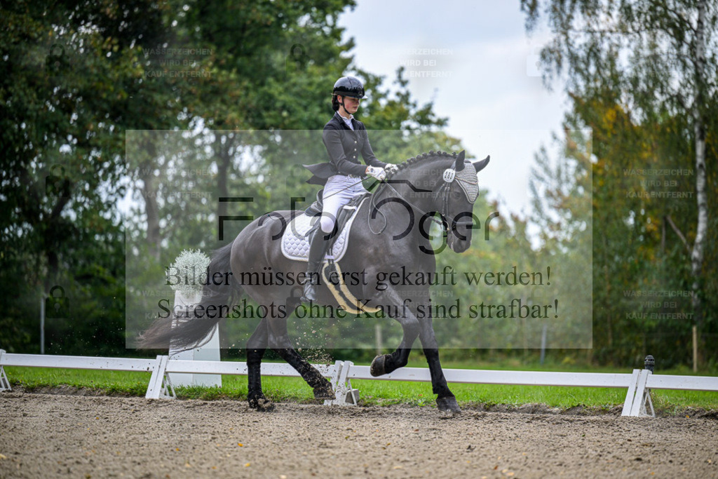 FOTO OGER | Bilder aus dem Reitsport by Foto Oger - Domenic Schlinge - Realisiert mit Pictrs.com