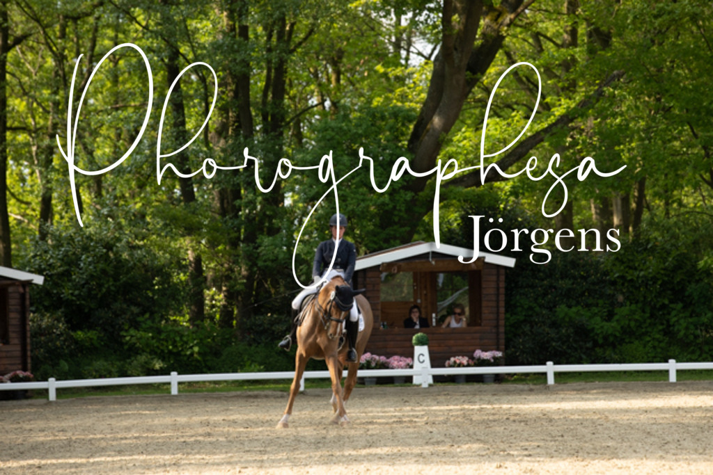 IMG_8409 | photographesa-joergens - Realisiert mit Pictrs.com