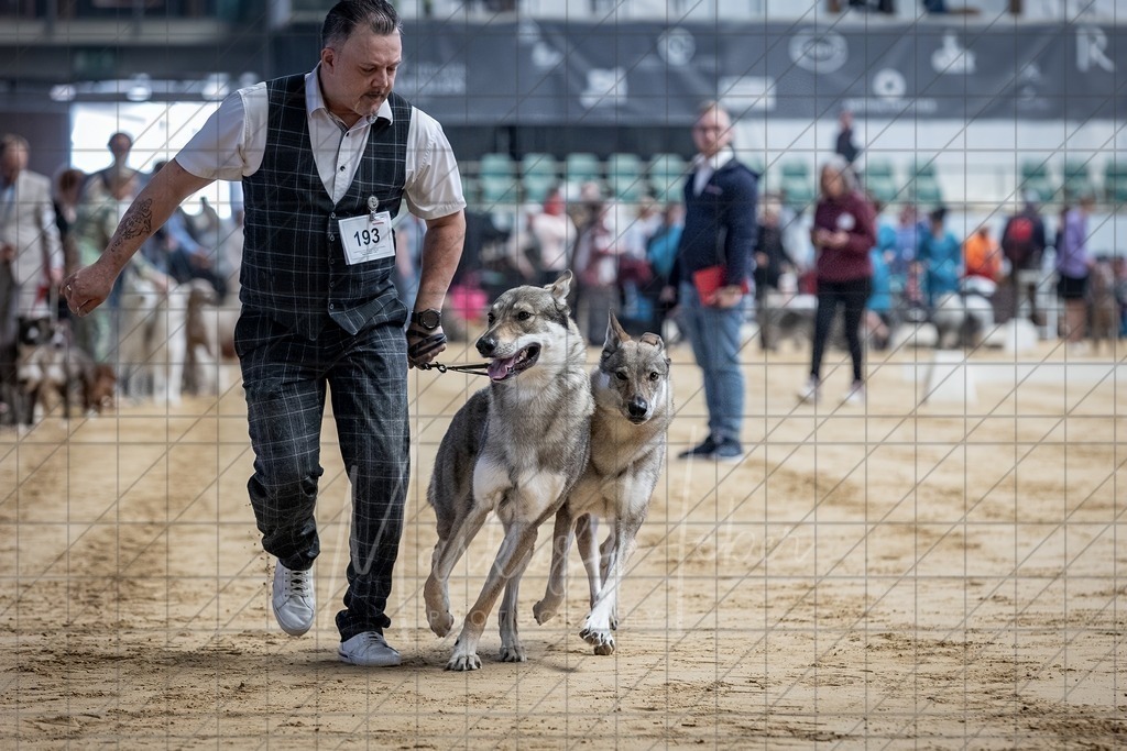 DS - Paarklasse_0007 | Markus Heber Photography