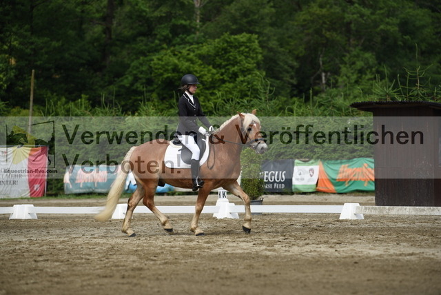 DSC_8243 | equestrian-live-com