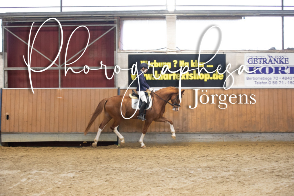 f28681472 | photographesa-joergens - Realisiert mit Pictrs.com