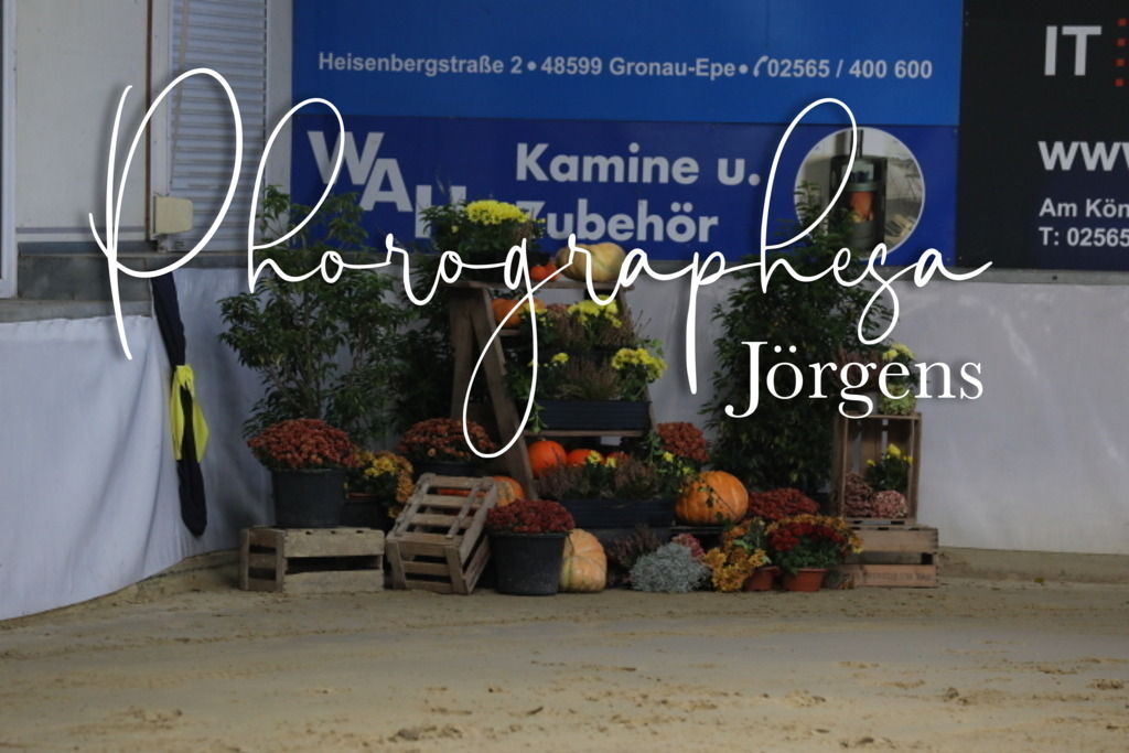 IMG_8046 | photographesa-joergens - Realisiert mit Pictrs.com