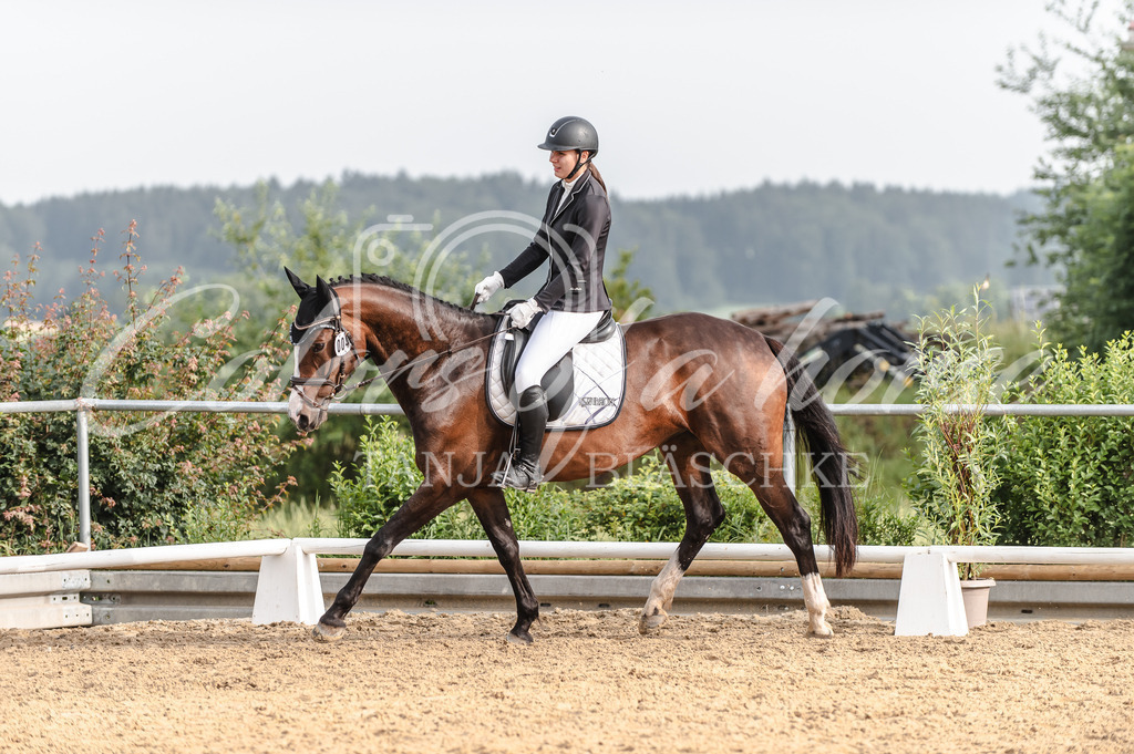 TBL_6574 | Turnierfotos von Reitturnieren in den Landkreisen Biberach, Ravensburg und in ganz Oberschwaben - von Tanja Bläschke - Colorsofahorse - Realisiert mit Pictrs.com