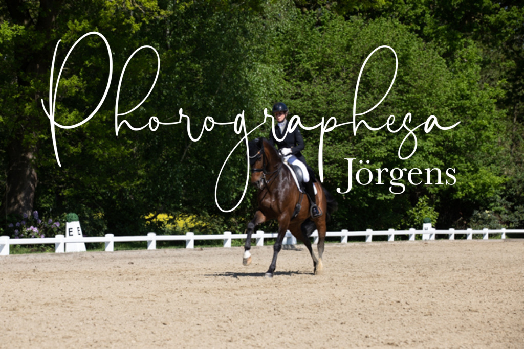 IMG_3798 | photographesa-joergens - Realisiert mit Pictrs.com