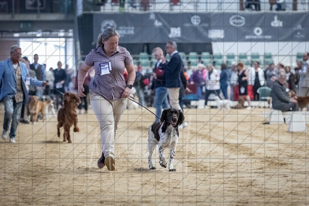 DS - Bester Junghund_0152 | Markus Heber Photography
