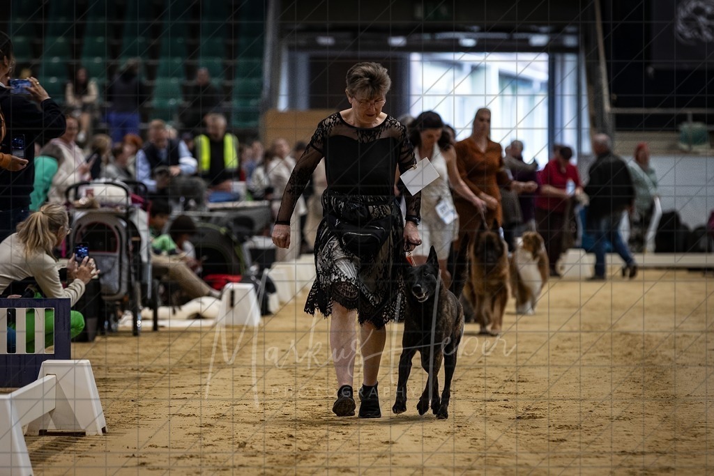 DS - FCI Gruppe 1_0044 | Markus Heber Photography