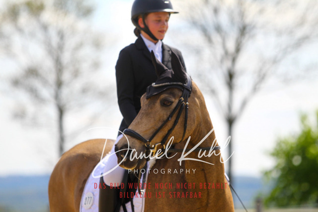 DKP43208 | Turniersportfotografie; Pferdefotografie; Dressurfotografie