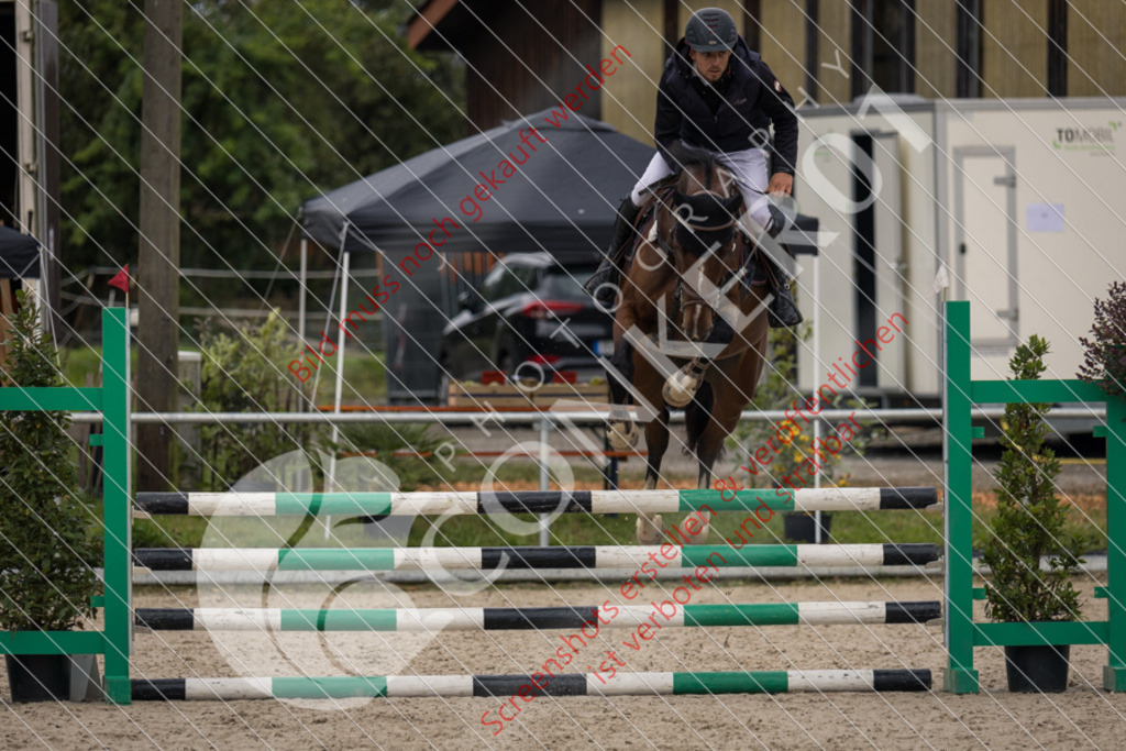 IMG_4250 | Hier findest Du viele Augenblicke aus den Bereichen der Turnier-, Sport- & Tierfotografie. Bilder mit deinem Liebling, Portrait-, Bewerbungs-, Businessbilder können ebenfalls schnell und einfach erstellt werden.