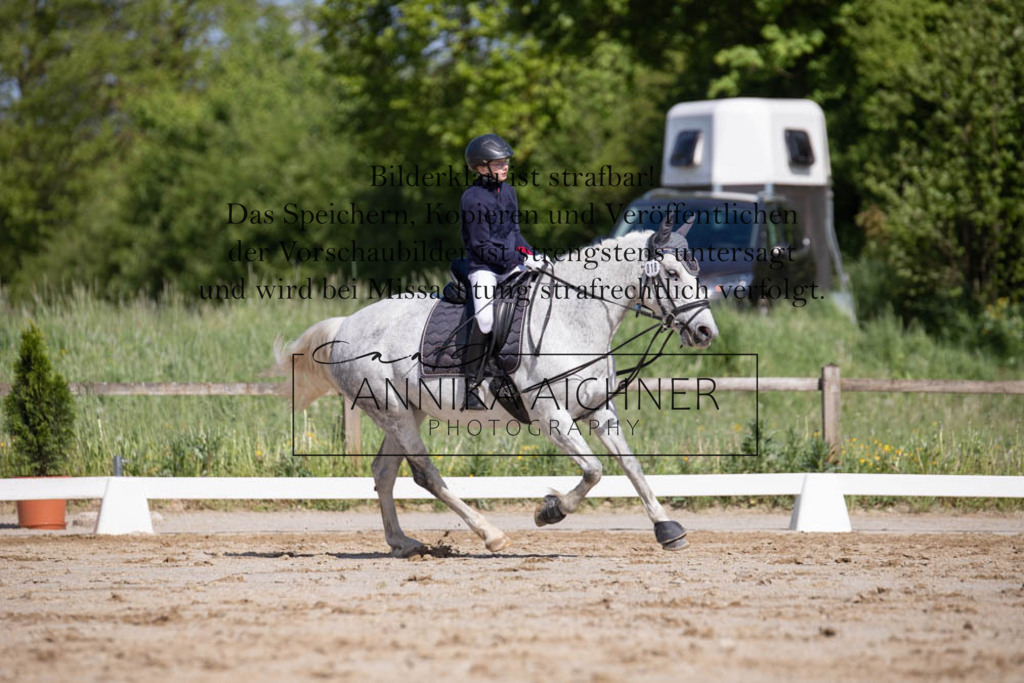 _MG_0041 | Annika Aichner Fotografie | Turnierfotografin | Turniere Niederbayern | Springturnier | Dressurturnier | Obermünchen | Geisenhausen | Mainburg | Neukirchen | Turnierbilder | Turnierfotos | Reitsport - Realisiert mit Pictrs.com