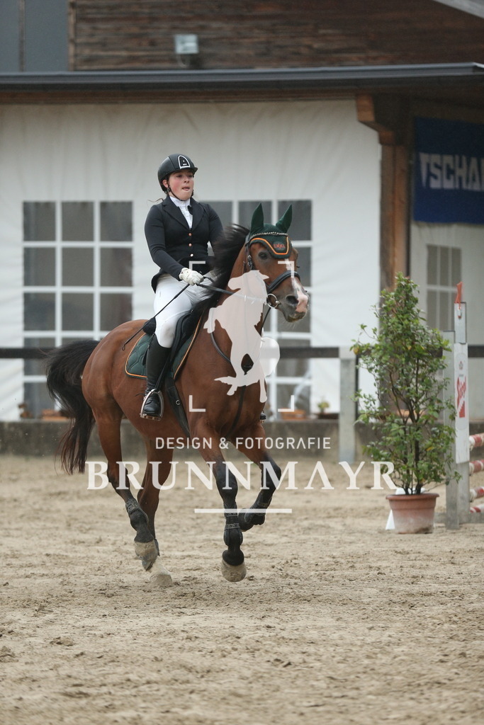 AS8V5492 | Willkommen bei Brunnmayr - Design & Fotografie – Ihrem Spezialisten für Reitturniere und Pferdeveranstaltungen in Oberösterreich, Salzburg und Bayern! Seit über 17 Jahren sind wir leidenschaftlich dabei.
