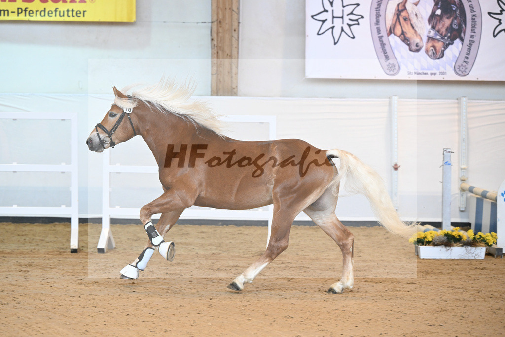 Kat-Nr. 16 v. Sturmdrang_HLG Schwaiganger_2230228 | hf-fotografie - Realisiert mit Pictrs.com