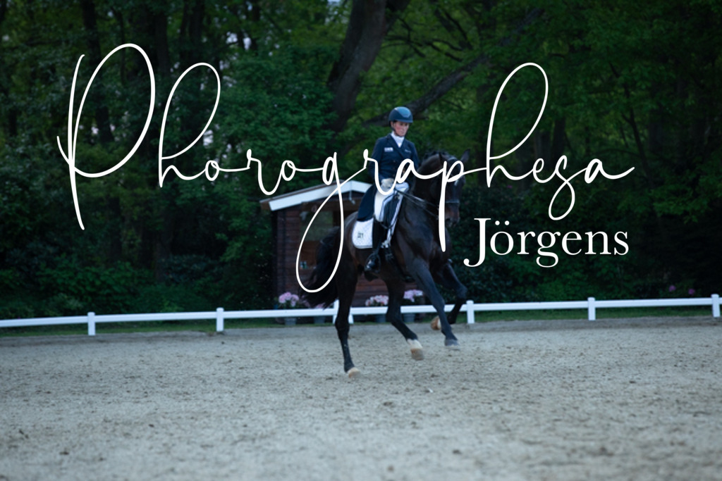 IMG_9836 | photographesa-joergens - Realisiert mit Pictrs.com