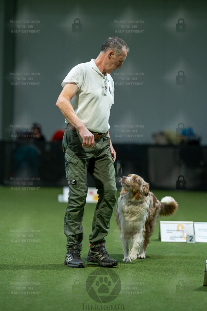 7IV02886 | Professionelle Tierfotografie in Mönchengladbach von Daniel Wirth (allesWIRTHgut). Liebevolle & natürliche Bilder von Hunden & Katzen für unvergessliche Erinnerungen.