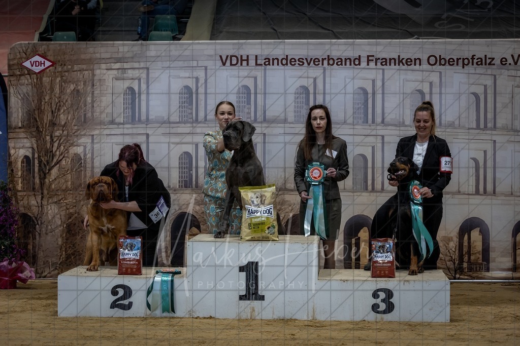 DS - FCI Gruppe 2_0113 | Markus Heber Photography
