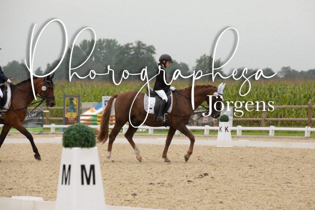 IMG_1639 | photographesa-joergens - Realisiert mit Pictrs.com