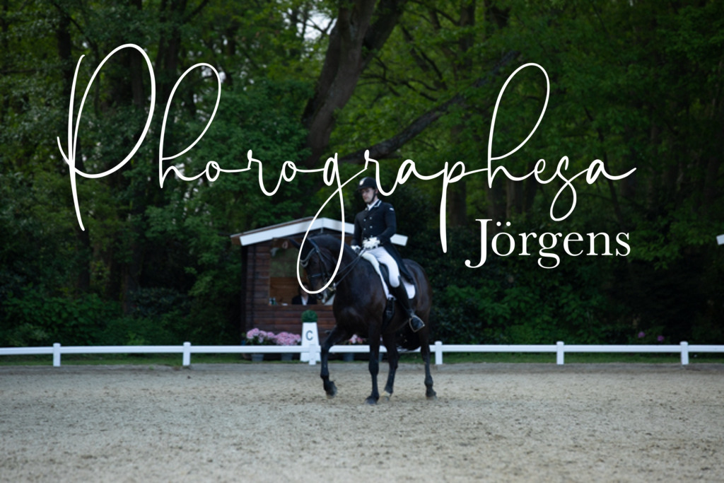 IMG_9421 | photographesa-joergens - Realisiert mit Pictrs.com