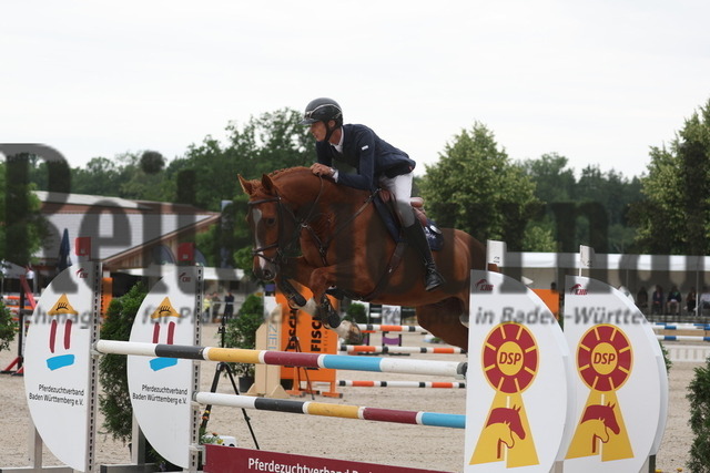 Weilheim_2023_Prfg.Nr.08_Springpferde_Kl.L_Marian Müller_SMA Can fly_s Boy (4) | Alle Fotos der Reiterjournal Fotografin Doris Matthaes im Reiterjournal Online-Fotoshop. - Realisiert mit Pictrs.com